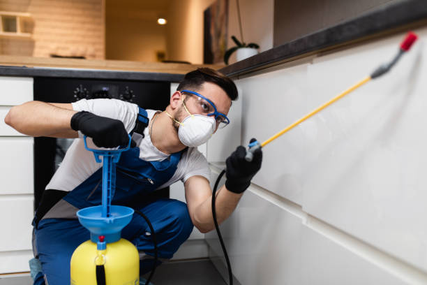 Best Emergency Pest Control  in Cambridge, MA