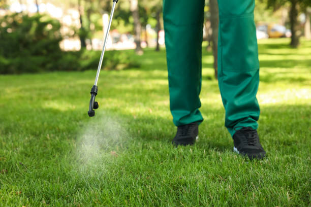 Best Residential Pest Control  in Cambridge, MA