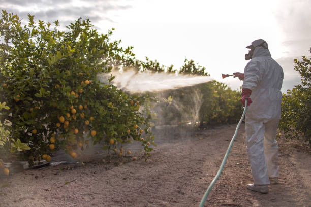 Professional Pest Control in Cambridge, MA