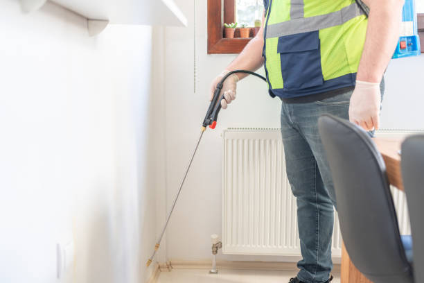 Best Flea Control Services  in Cambridge, MA