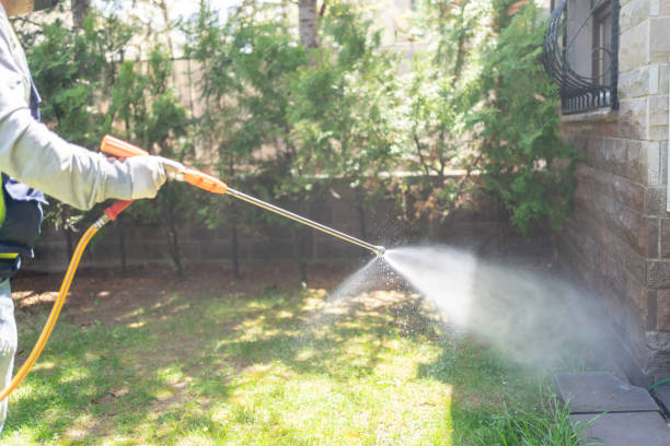 Best Wasp Removal Services  in Cambridge, MA