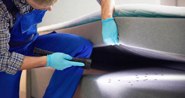 Best Pest Control Near Me  in Cambridge, MA