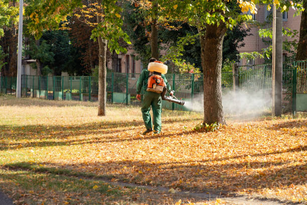 Best Bed Bug Extermination  in Cambridge, MA